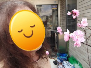 DSC01041